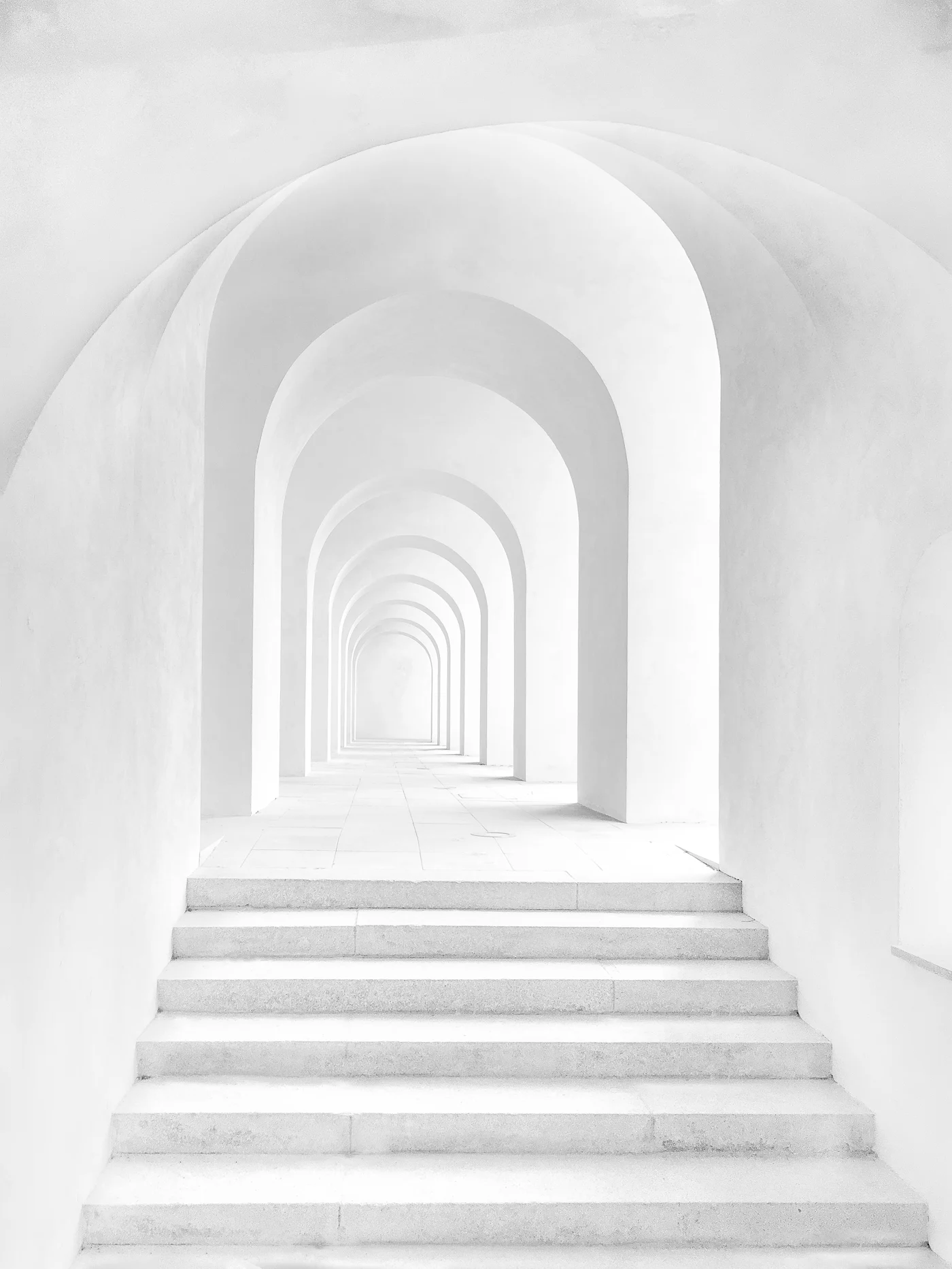 A white vaulted gallery filled with daylight
