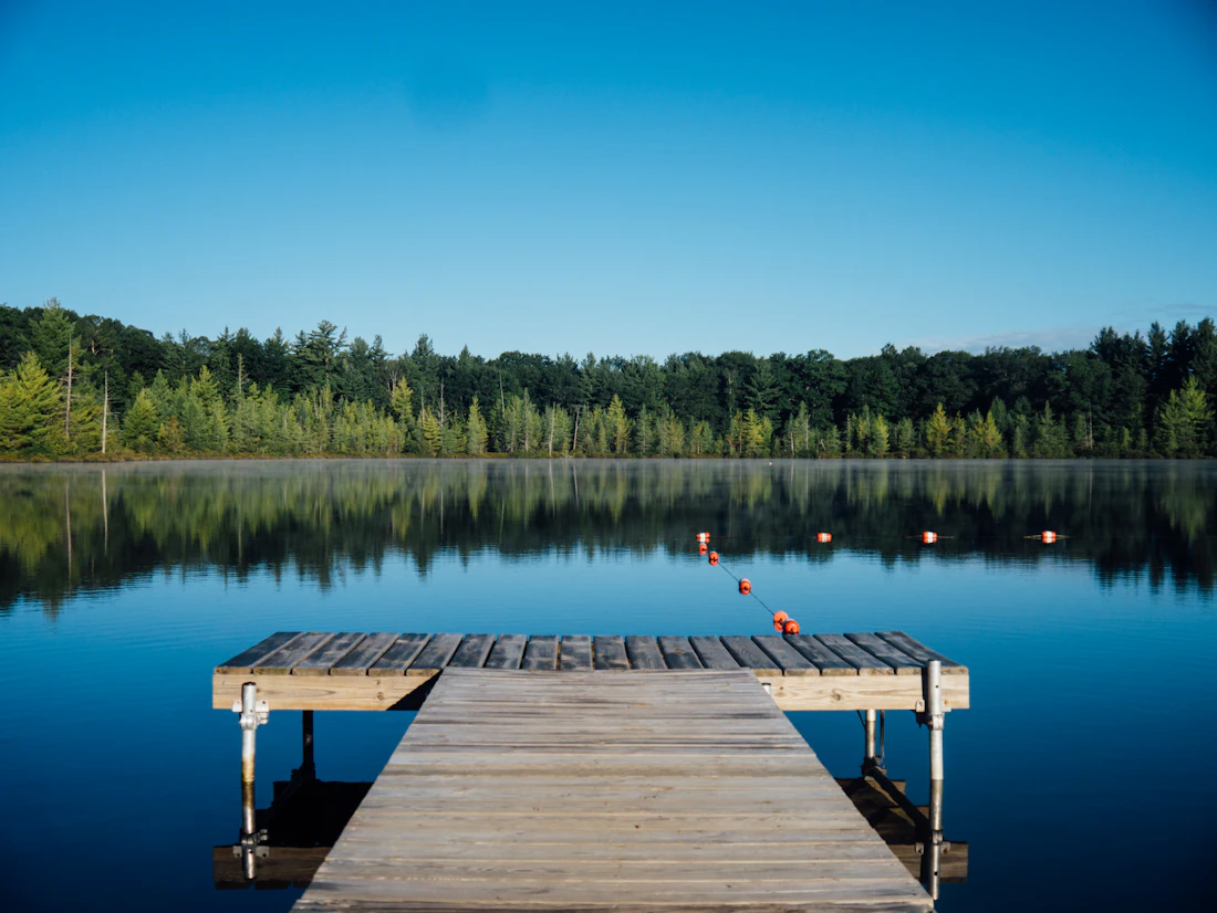 Lakefield Retreat — a still Muskoka lake and pine shoreline seen from the dock